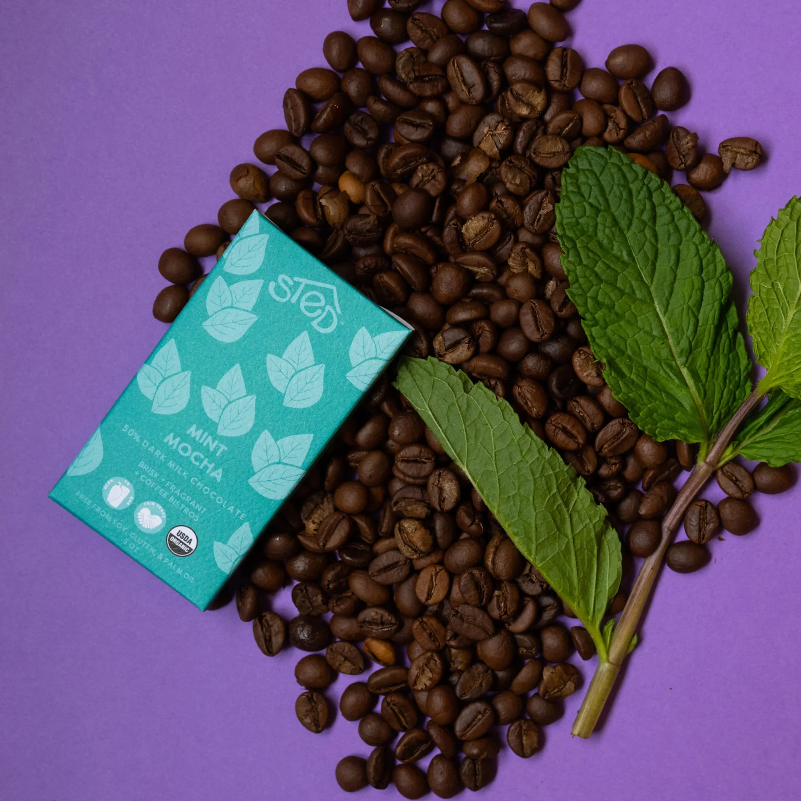 Mini Mint Mocha Chocolate Bar .5oz