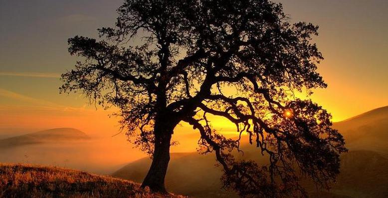 Oak Valley Creations